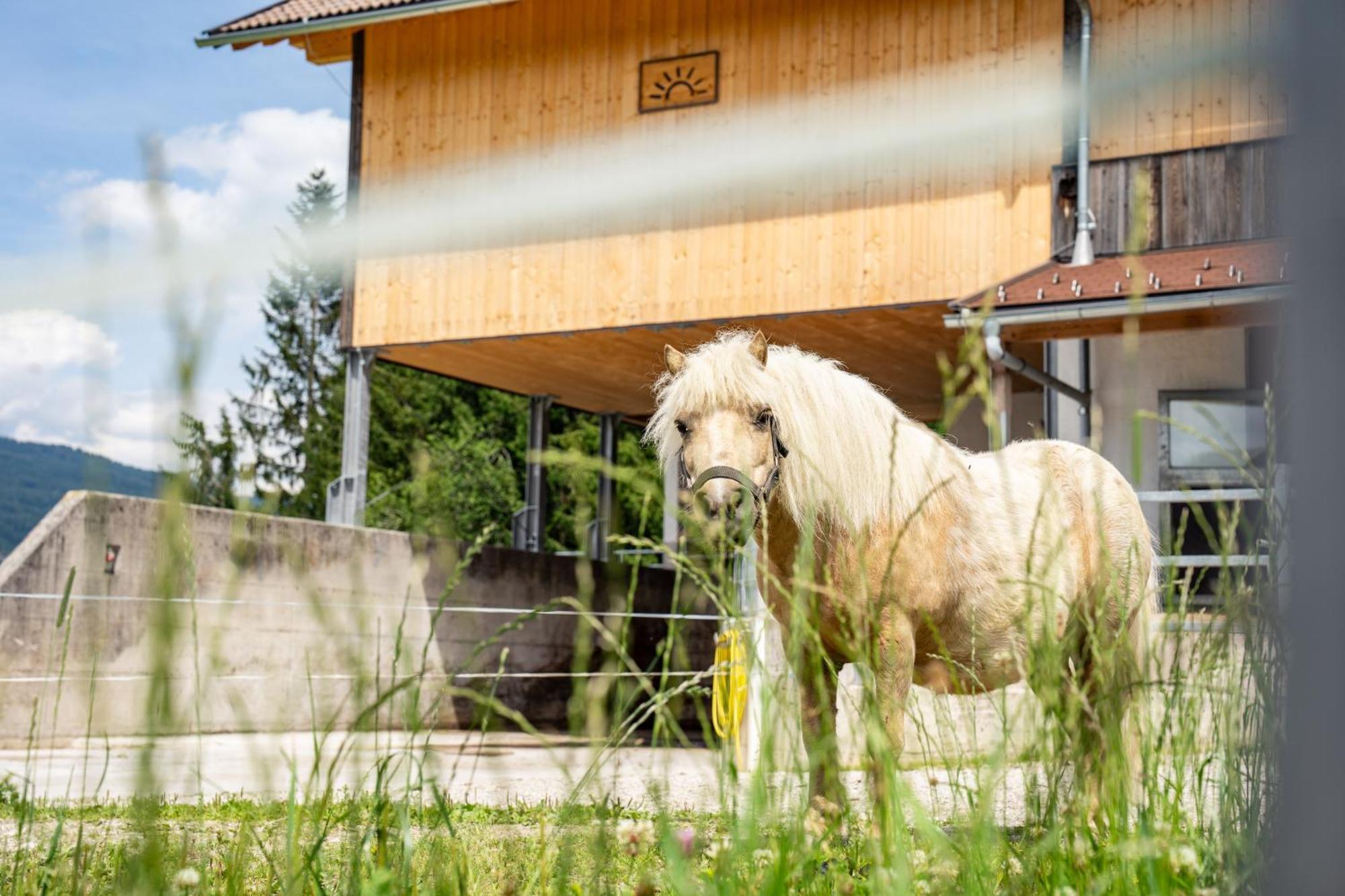 Apartamento Hornergut Altenmarkt im Pongau Exterior foto