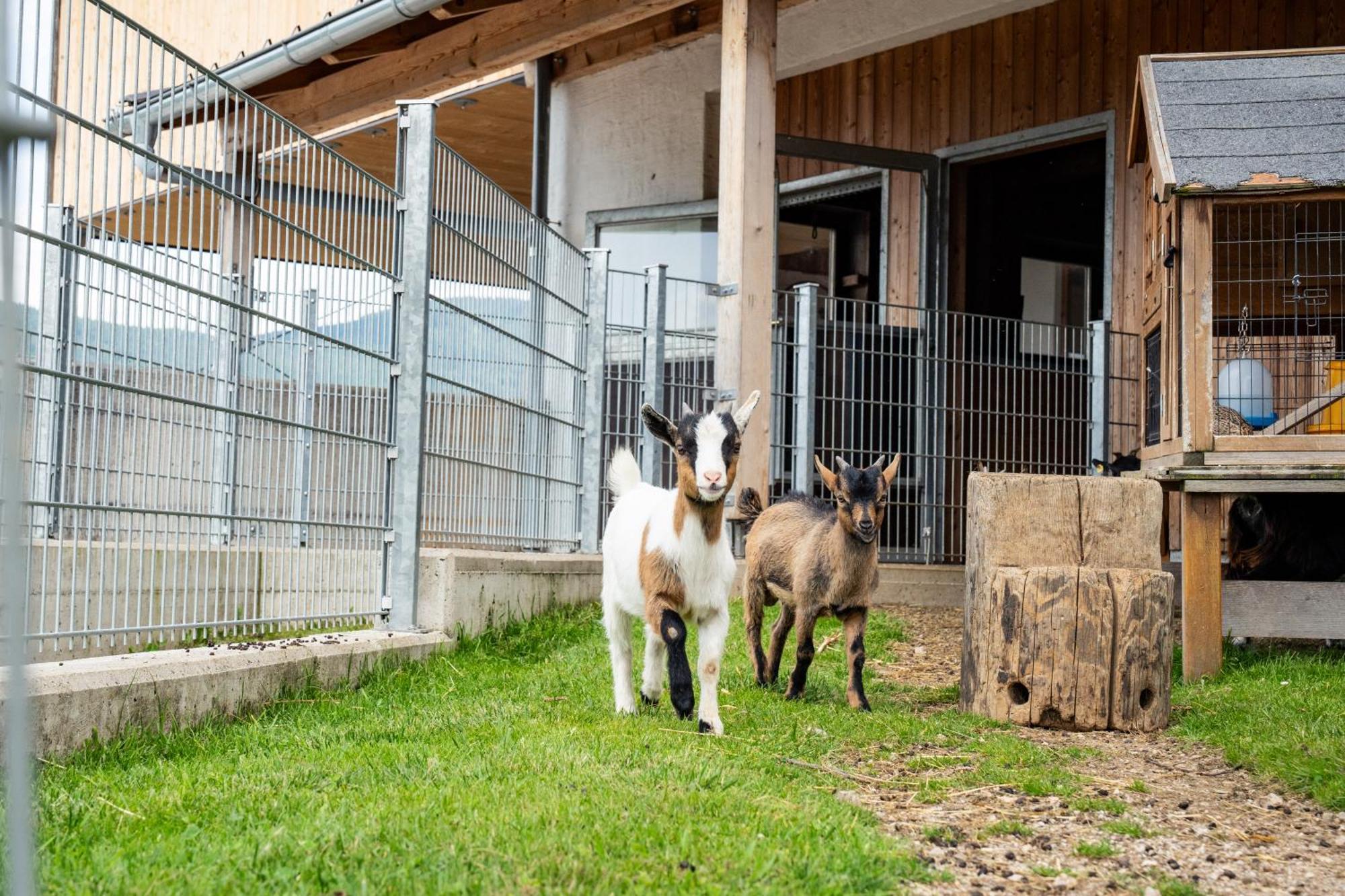 Apartamento Hornergut Altenmarkt im Pongau Exterior foto