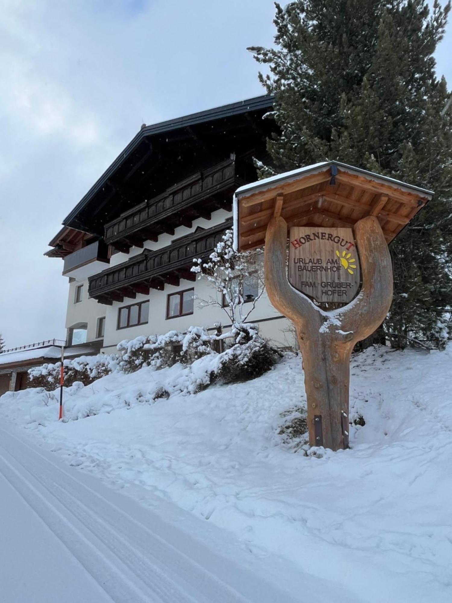 Apartamento Hornergut Altenmarkt im Pongau Exterior foto